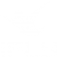 ifly-v2.png